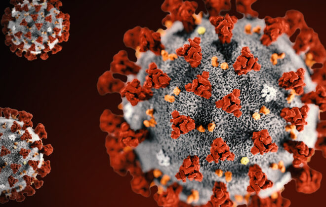 COVID-19 molecule